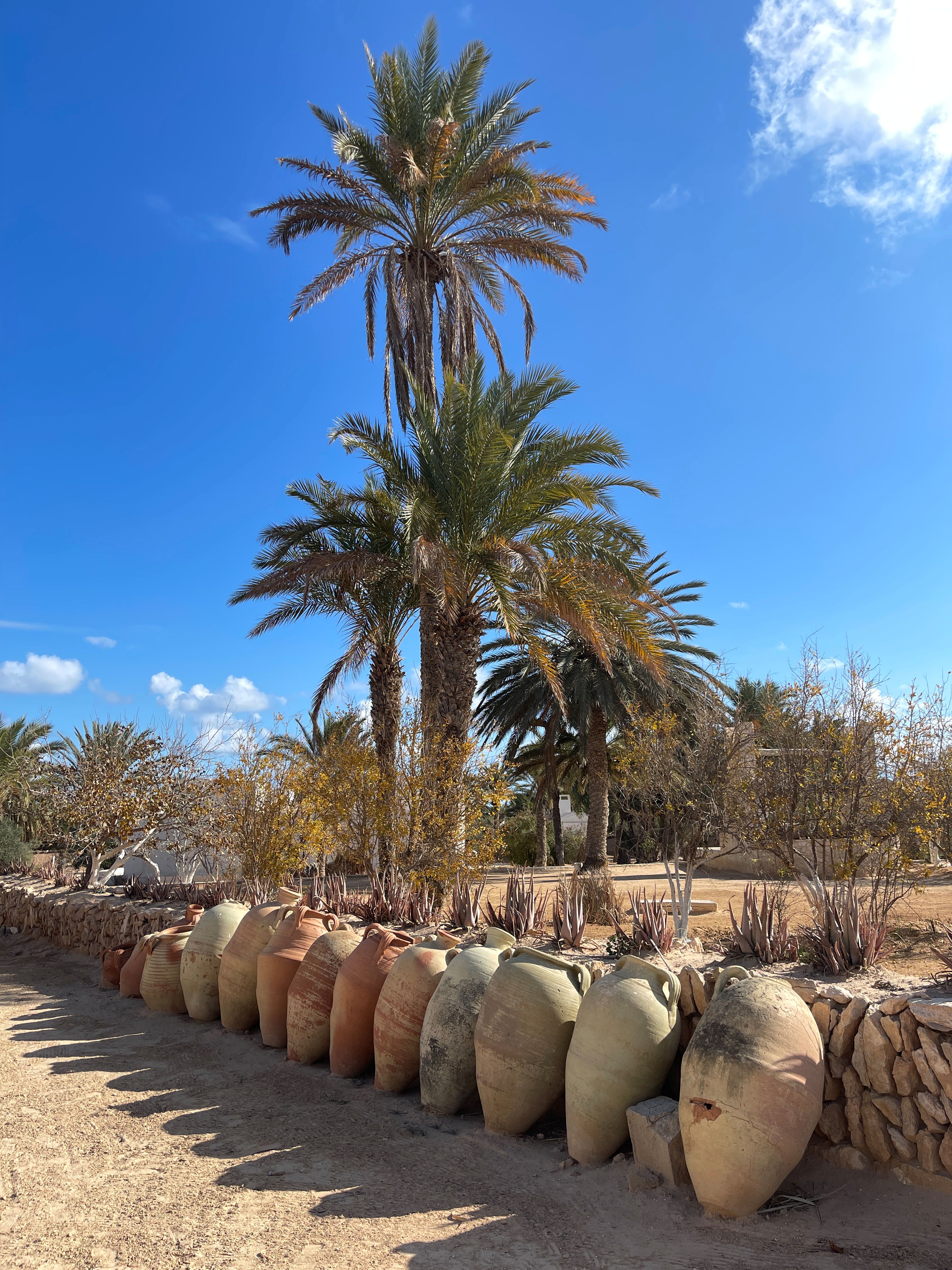 Old Olive Mill 6